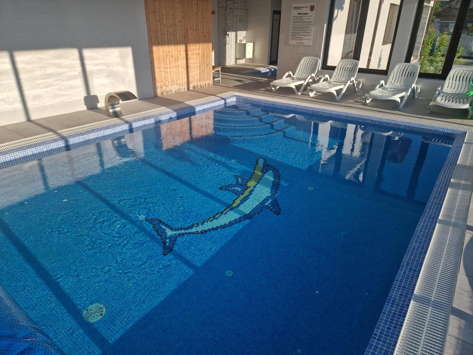 Cabanutele Din Lemn Villa Chiscau Ngoại thất bức ảnh